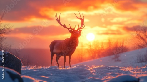 A majestic deer stands against a vibrant sunset in a snowy landscape.