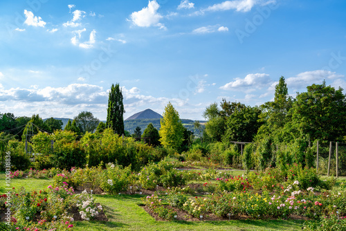 A view of the Rosarium in Sangerhausen
