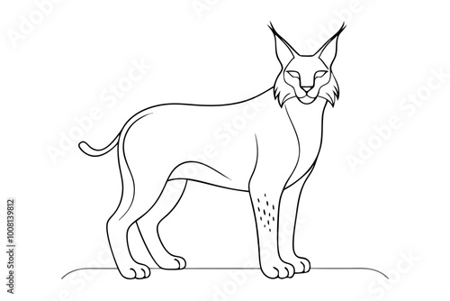 Lynx Line Art Vector