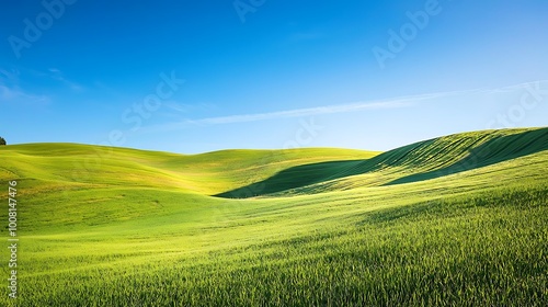 Rolling Green Hills Under Blue Sky