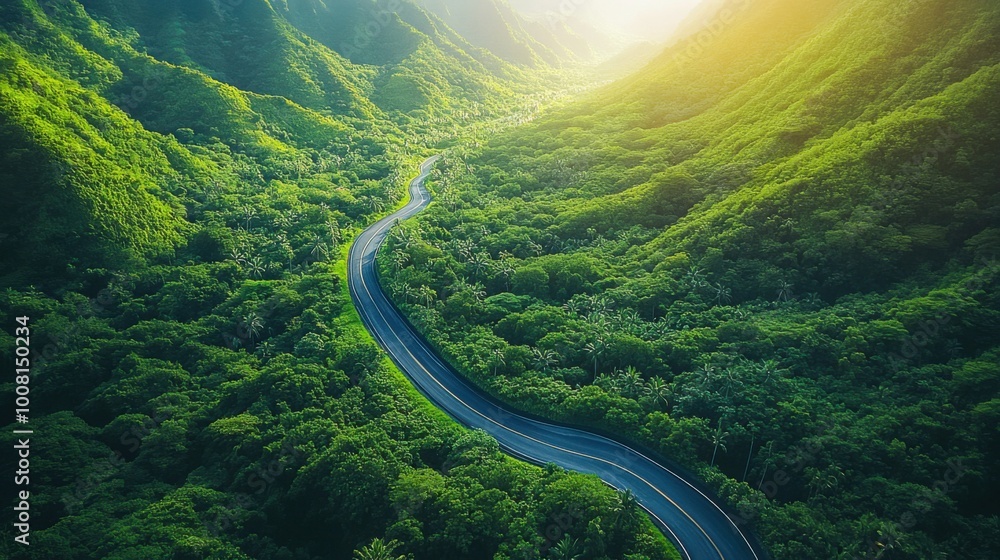 Aerial view of lush green winding road through dense tropical forest in sunlight Aerial view of lush green winding road through dense tropical forest in sunlight