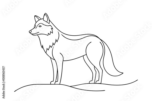 Stunning Wolf Line Art Vector photo