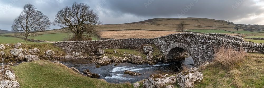 Fototapeta premium old wooden bridge in nature over small stream