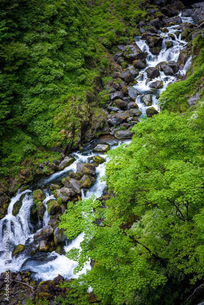 waterfall in the forest waterfall in the forest