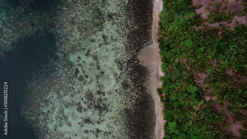 Wallpaper Mural Aerial forward view of reefs. Philippines. Daylight Torontodigital.ca
