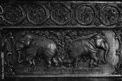 Canvas Print elephants