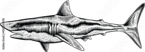 shark vintage vector hand drawn illustration