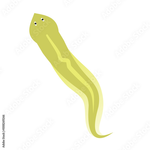 Planaria worm vector