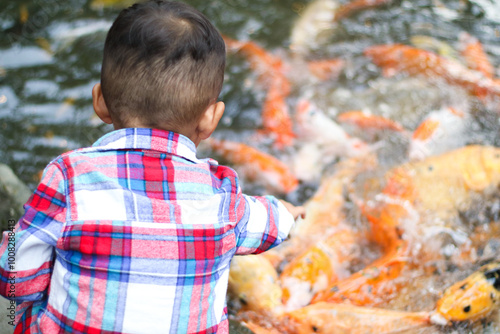 Boy feeding koi fish in a koi pond