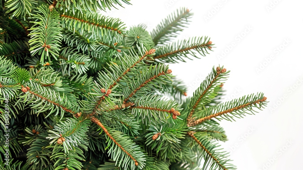 christmas background with christmas branches and decorations christmas background with christmas branches and decorations
