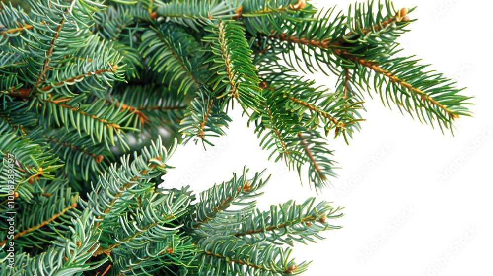 christmas background with christmas branches and decorations christmas background with christmas branches and decorations