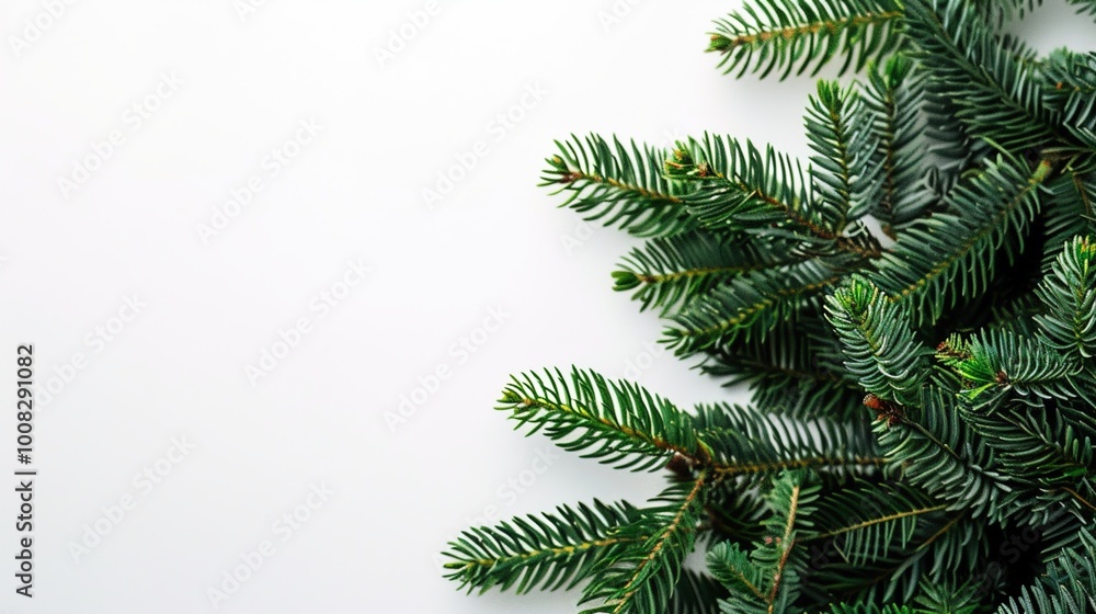christmas background with christmas branches and decorations christmas background with christmas branches and decorations