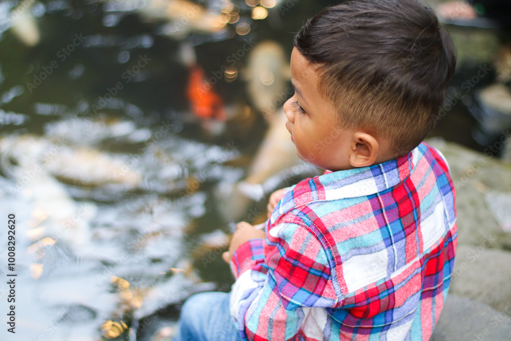 Feeding the hungry funny decorative Koi carps in the pond. Children's hand hold fish food. Animal care concept. Close up. Feeding the hungry funny decorative Koi carps in the pond. Children's hand hold fish food. Animal care concept. Close up.
