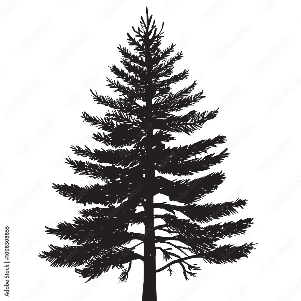 Christmas tree silhouette pine tree christmas black plant nature monochrome Christmas tree silhouette pine tree christmas black plant nature monochrome
