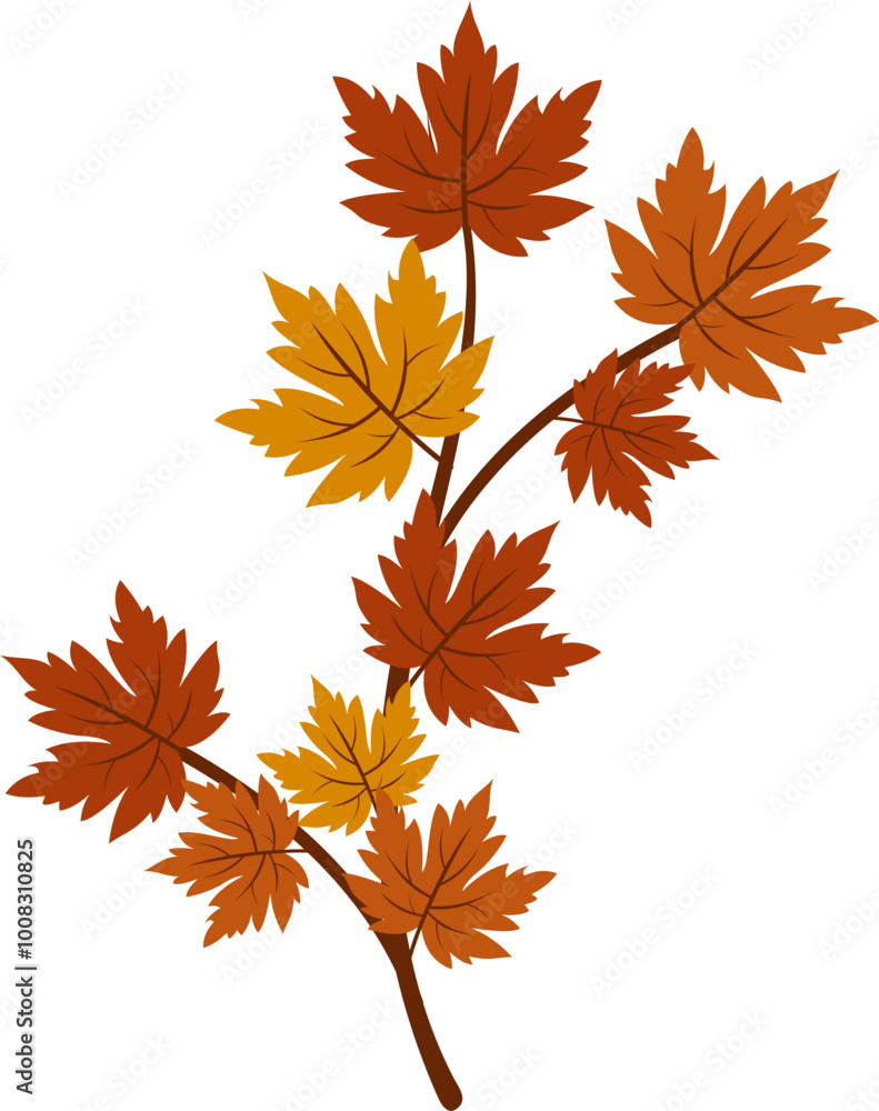 Autumn Maple Leaf Autumn Maple Leaf