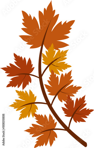 Autumn Maple Leaf