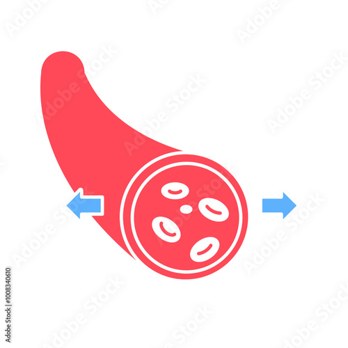 Vasodilation Blood Vessels