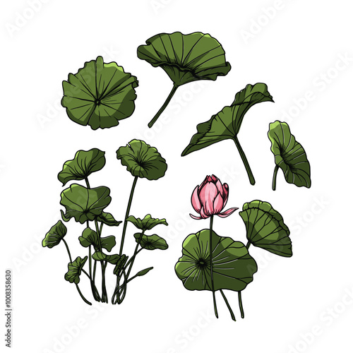 Lotus Leaf vector easy to change and color