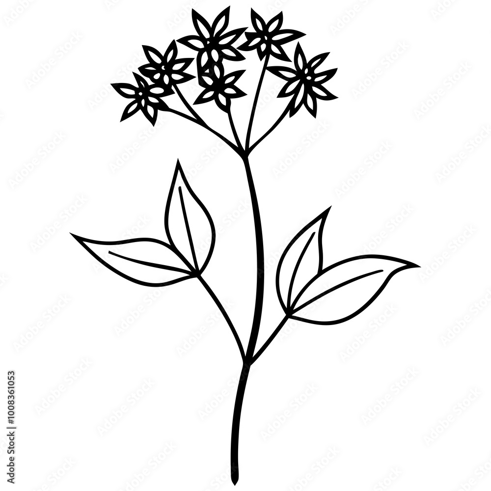 Vibrant vector art of blooming joe-pye weed flowers in a meadow
Vibrant vector art of blooming joe-pye weed flowers in a meadow