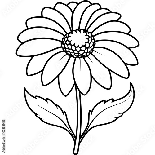 Vector illustration of helenium flower featuring delicately curved petals in bloom





