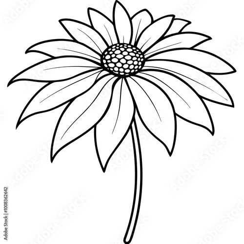 Stunning Coneflower Vector Illustration Showcasing the Beauty of Wildflowers 