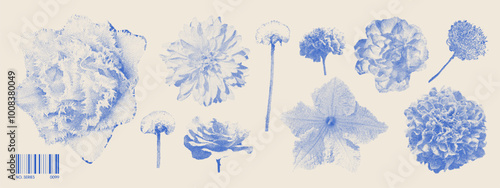 Collage element with flowers. Dandelion, rose, meadow flower, clover, tulip. Photocopy stipple effect photo