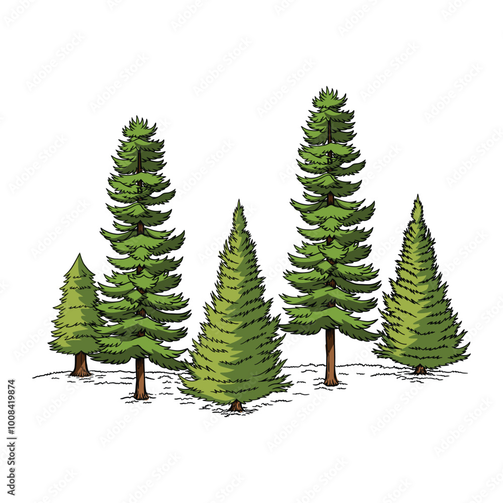 Pine Trees Plant Vector Pine Trees Plant Vector
