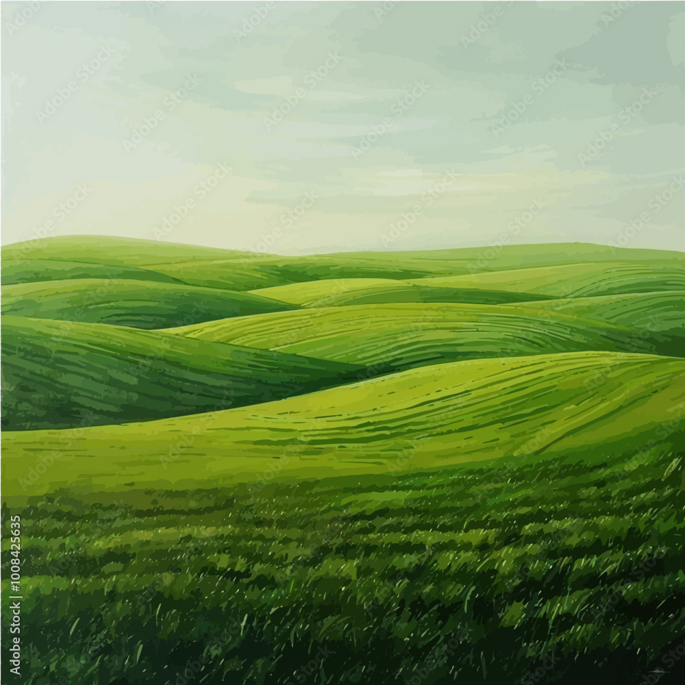 Rolling green hills under a soft sky, depicting tranquility and the beauty of nature's curves and expanses, perfect for environmental or nature designs. Rolling green hills under a soft sky, depicting tranquility and the beauty of nature's curves and expanses, perfect for environmental or nature designs.