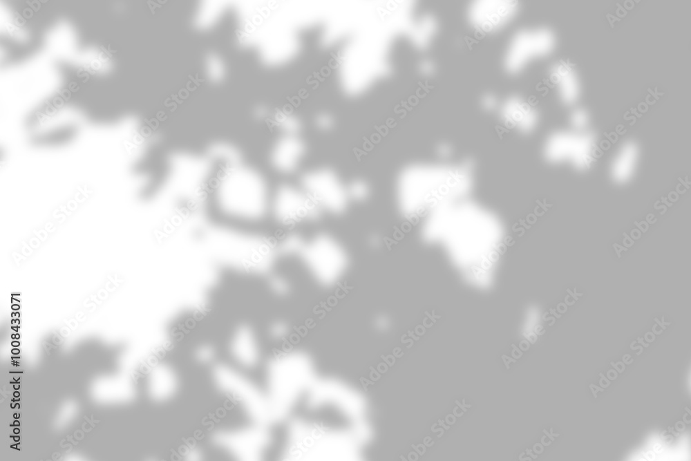 Gray leaf shadow and light blur abstract background on white wall, shadow overlay effect Gray leaf shadow and light blur abstract background on white wall, shadow overlay effect