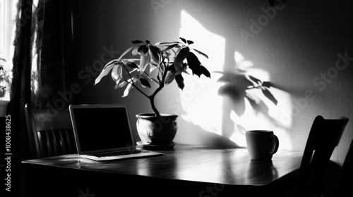 Cozy Home Office Scene with Shadows and Light