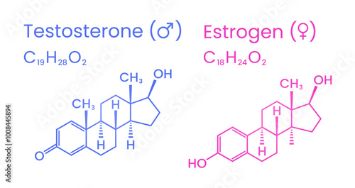 Testosterone and Estrogen Sex Hormones