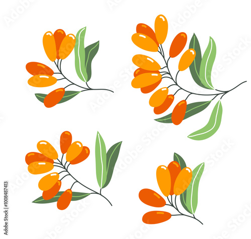 Fresh delicious ripe sea buckthorn berries vector flat illustration isolated on white, natural diet food vegetation tasty eating, forest wild berries series.