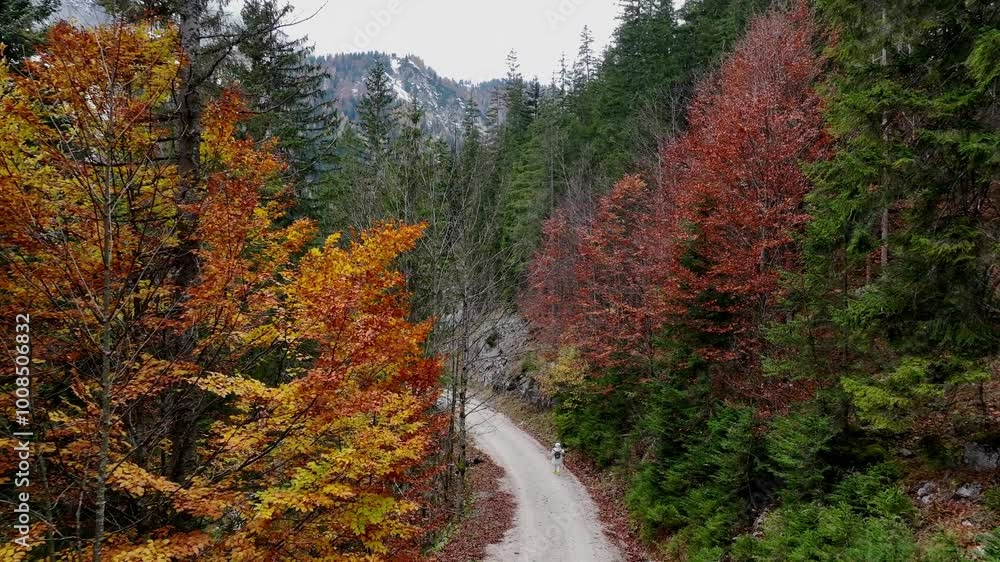 Track Gosausee with Dachstein mountain summit and blue lake as idyllic colorful autumn scenery background Track Gosausee with Dachstein mountain summit and blue lake as idyllic colorful autumn scenery background