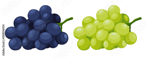 grape isolated on white background .Vector illustration	