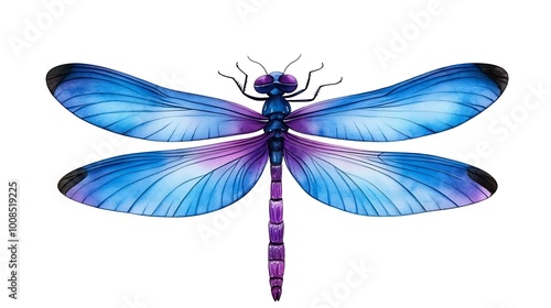 Playful Dragonfly Illustration