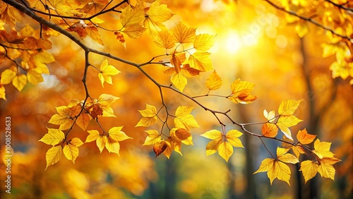 Golden Sunlight Illuminates a Branch of Vibrant Autumn Leaves Against a Warm, Hazy Background