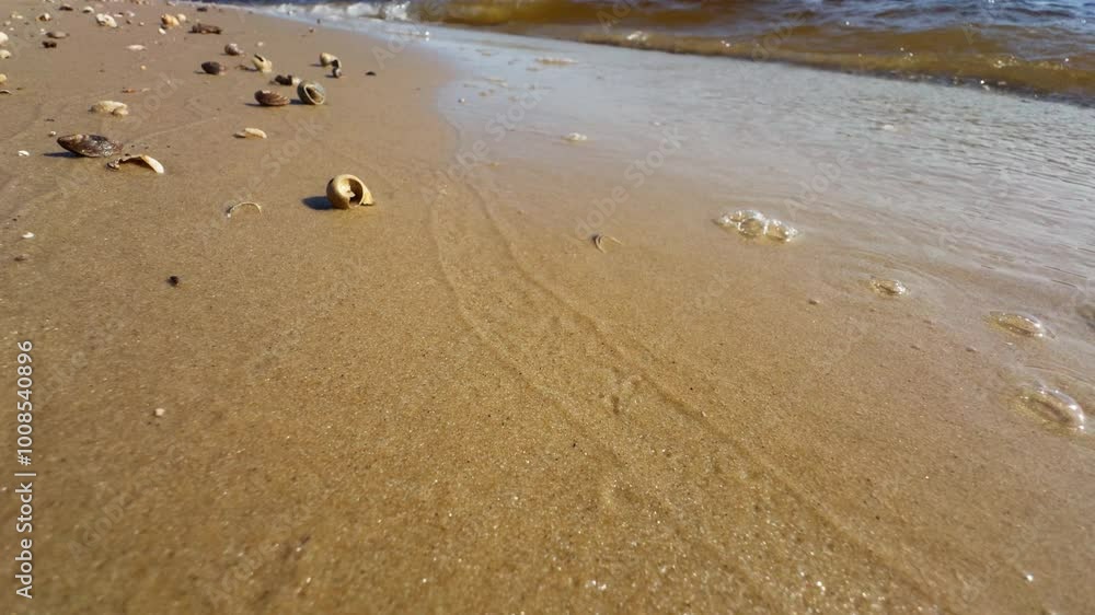 Small waves roll onto sandy shore with shells. Small waves roll onto sandy shore with shells.