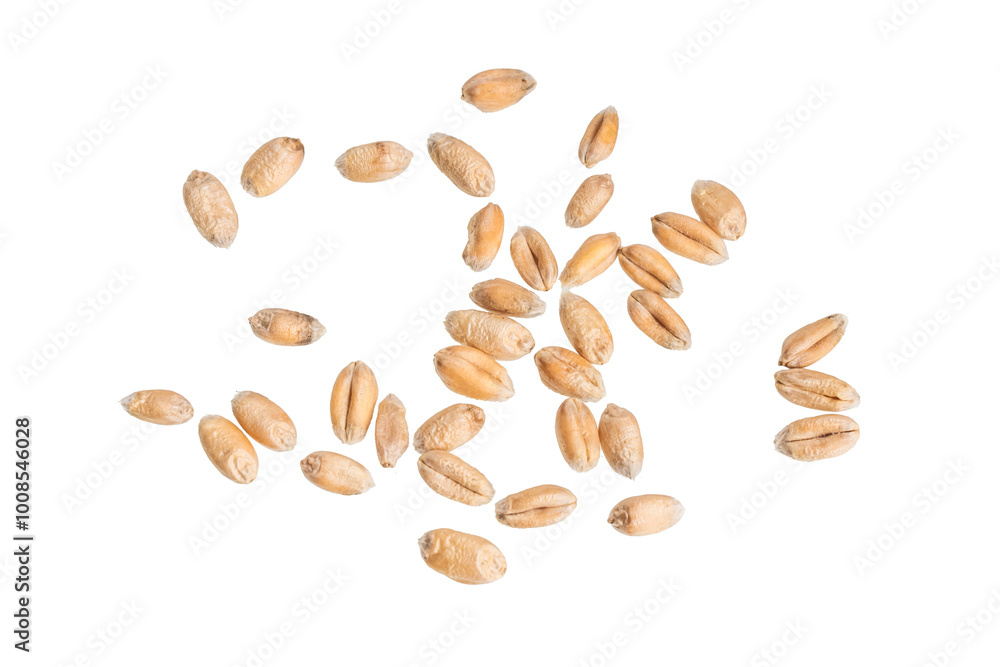 wheat grains isolated on white background
wheat grains isolated on white background