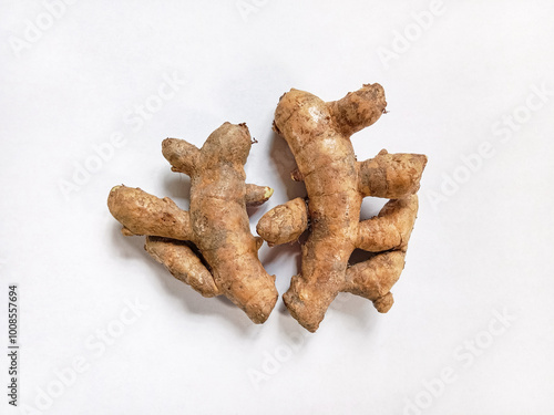 White turmeric on white background. White turmeric (Curcuma zedoaria). Fresh turmeric roots. Herb and medicinal plants. Flat lay. Top view.