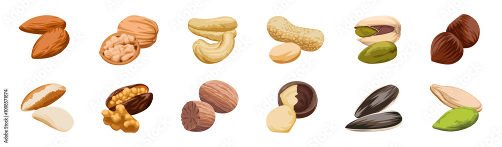 Nuts icon. Nuts icon set. Cartoon style. Vector Nuts icon. Nuts icon set. Cartoon style. Vector
