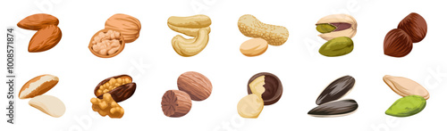Nuts icon. Nuts icon set. Cartoon style. Vector