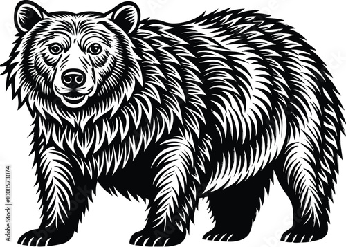 brown bear vector illustration