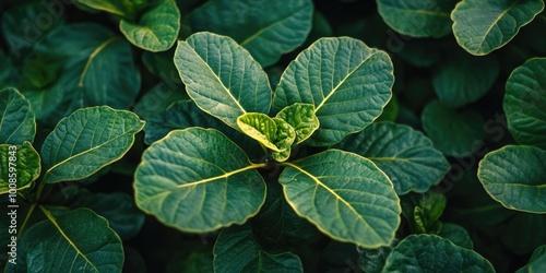 Vibrant Green Plant Close-up