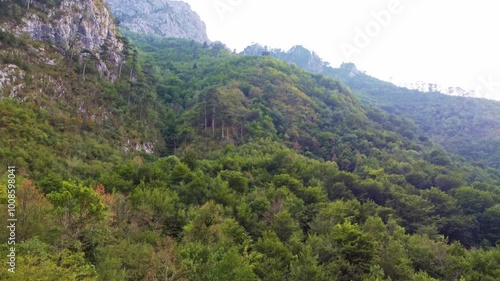 Aerial View of Serene Rainforest in Bosnia's Herzegovina National Park – Tranquil Scenery, Dense Woodland, Mountain Peaks, and Cloudscape in Scenic Balkans Wilderness
