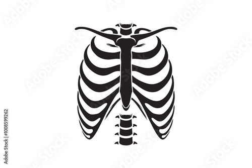 Torso, skeleton, ribcage, anatomy, bones, x-ray, chest, thorax, vertebrae, spine, sternum, monochrome, black and white, contrast, silhouette, graphic, illustration, vector, stylized, medical, biologic