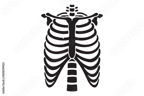 Torso, skeleton, ribcage, anatomy, bones, x-ray, chest, thorax, vertebrae, spine, sternum, monochrome, black and white, contrast, silhouette, graphic, illustration, vector, stylized, medical, biologic