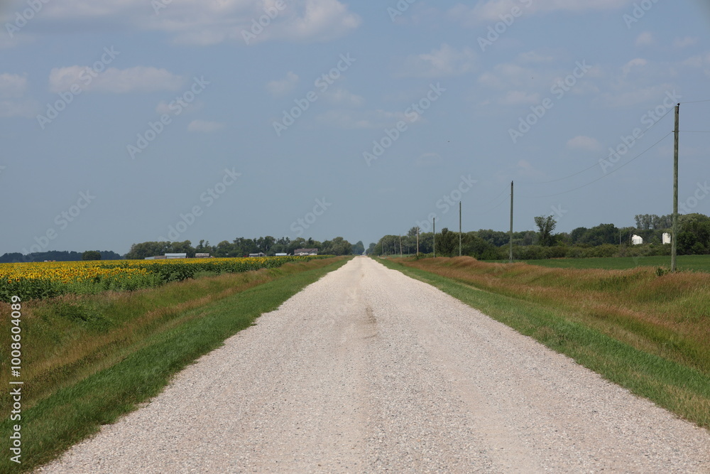 rural prairie gravel road flanked by fields of crops stretches to the horizon rural prairie gravel road flanked by fields of crops stretches to the horizon
