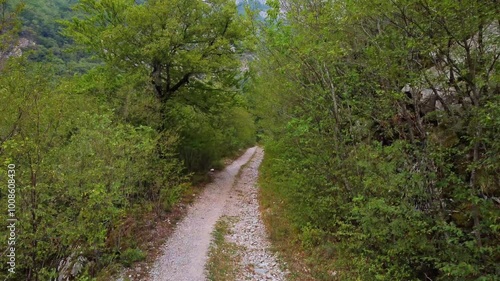Majestic Aerial View of Bosnia and Herzegovina's Mountain Peaks and Valleys - 4K Drone Footage of Idyllic Woodland and Wilderness Adventure