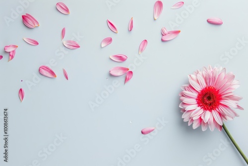 Minimalist flat lay with a pink flower and scattered petals on a clean white surface