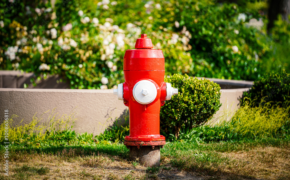Red fire hydrant on the street of Vancouver, Canada Red fire hydrant on the street of Vancouver, Canada